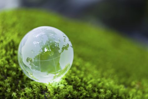 Sustainability— A Reality America Needs To Accept