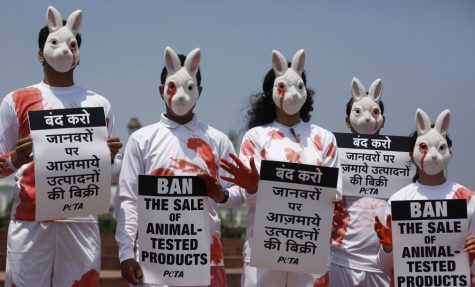 Animal Testing, Cruelty or Science