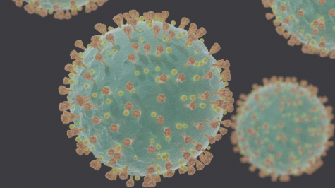 Microscopic close up of the virus.
Photo Credit: photo via wikimedia under the creative common license
Microscopic close up of the virus.
